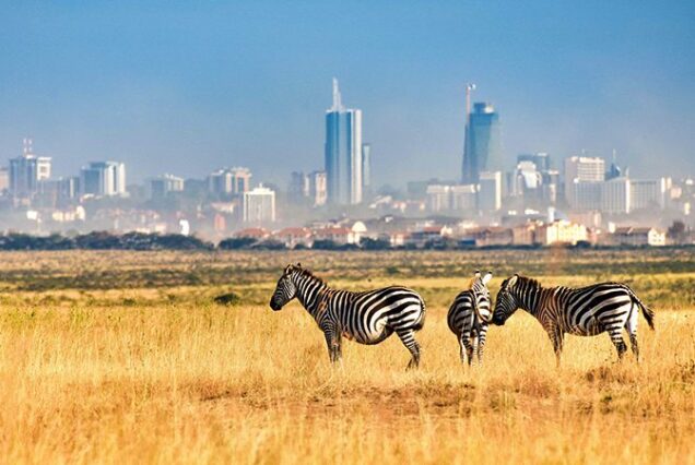 Nairobi National Park