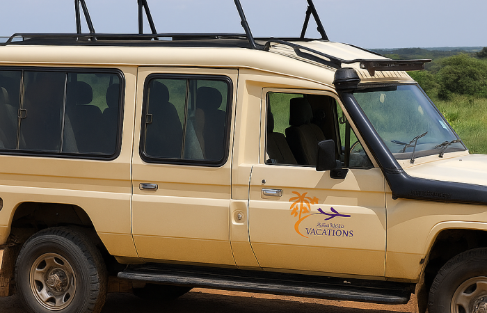 Affordable car rental in Kenya – My Dream Vacations & Safaris