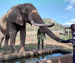 OL JOGI CONSERVANCY DAY TRIP