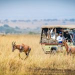 'Affordable Kenya safari packages — game drive in Maasai Mara