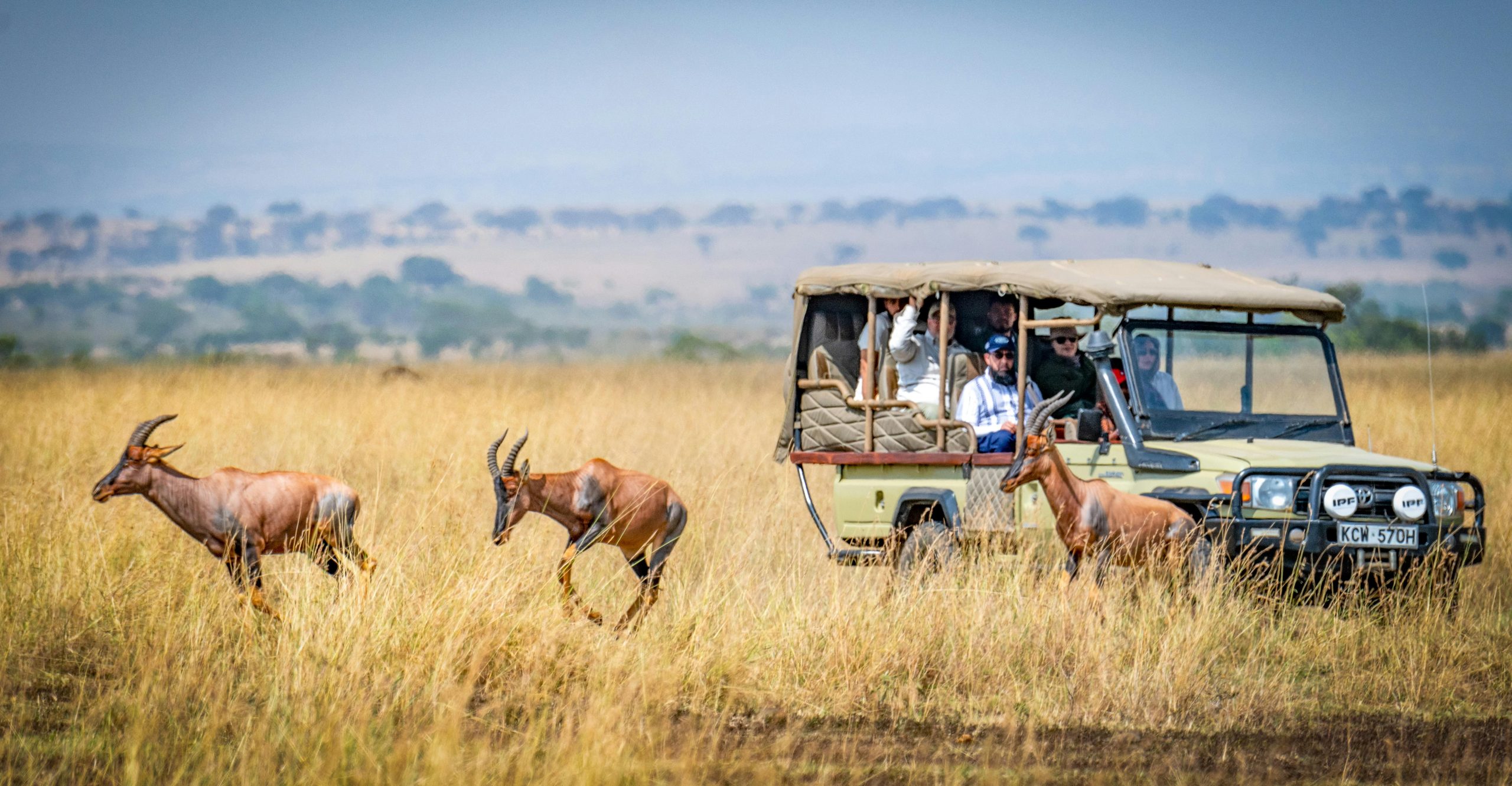 'Affordable Kenya safari packages — game drive in Maasai Mara